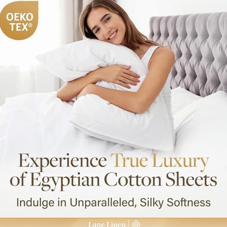 King 100% Egyptian Cotton Sheet Set, Sateen, 16